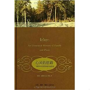 速发9787108041142 威廉斯 心灵 美 生活.读书.新知三联书店 慰藉 正版