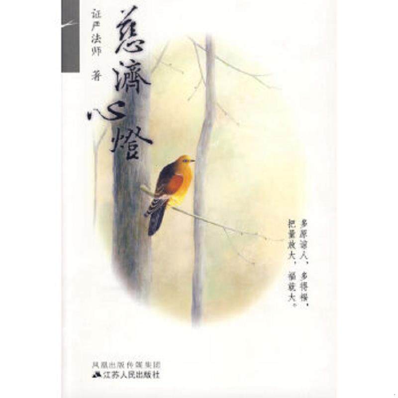 正版速发9787214043962 慈济心灯 证严法师著 江苏人民出版社