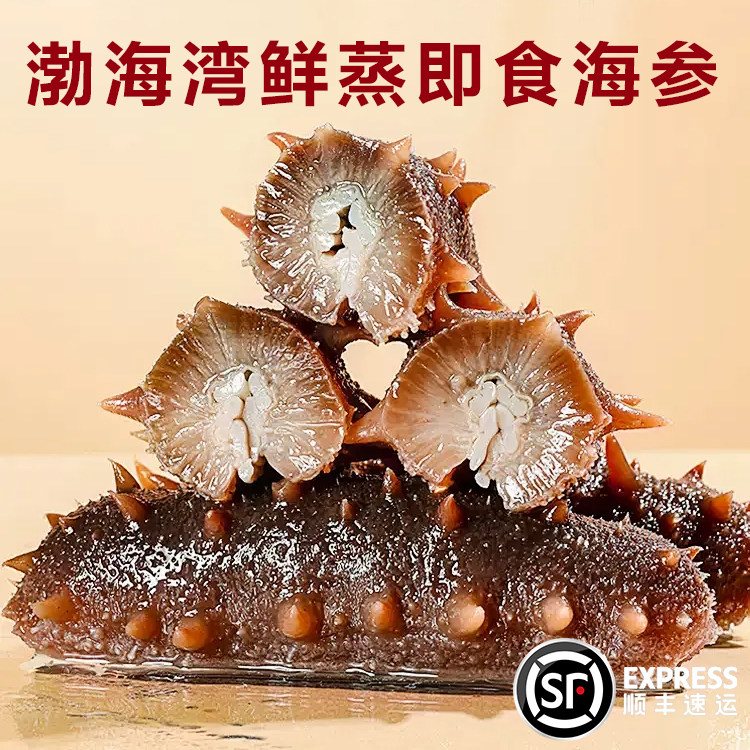 鲜食即食正宗大连深海辽刺参鲜活8年海参海鲜滋补1500g【8-10头】