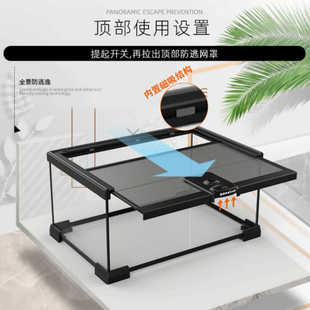 BG生态雨林造景爬宠饲养箱睫角守宫蜥蜴宠物蛇角蛙蜘蛛树栖玻璃缸