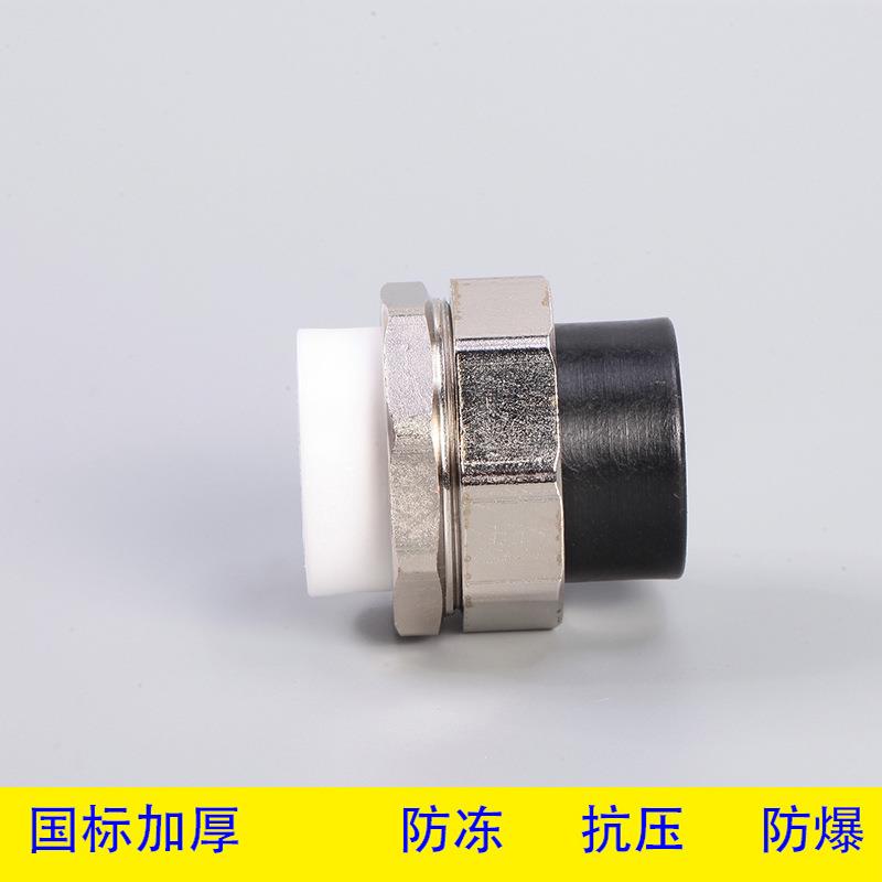 PPR转PE转换接头 PE水管配件 PE双头活接自来水管材管件 给水管