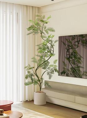 模拟绿色植物蓝花楹盆栽室内大密叶猴子耳环假植物客厅地板站立装