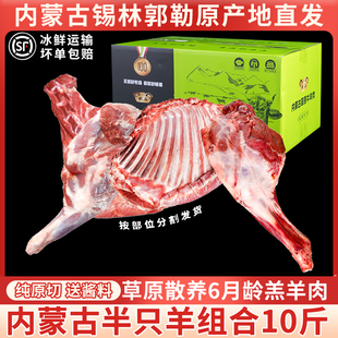 内蒙古手抓羊肉新鲜现杀锡盟羊肉旗舰店羊排羊腿羊蝎子半只羊10斤