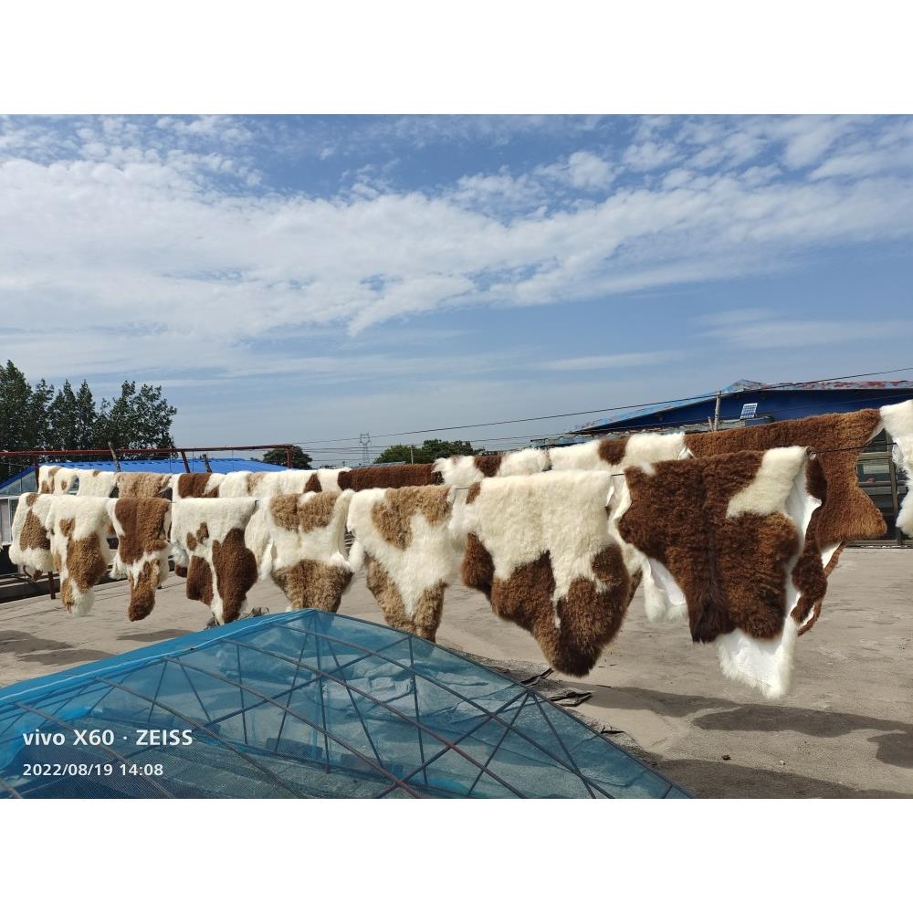 整张羊皮飘窗垫羊毛地毯皮毛一体沙发垫家用客厅垫子卧室阳台毯子