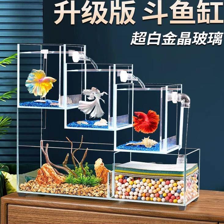 自循环多格斗鱼缸超白玻璃生态造景办公桌面免换水斗鱼迷你生态缸