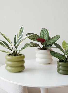 ladylike 彷真绿色植物苹 果叶室内客厅植物盆栽 万年青盆景花盆