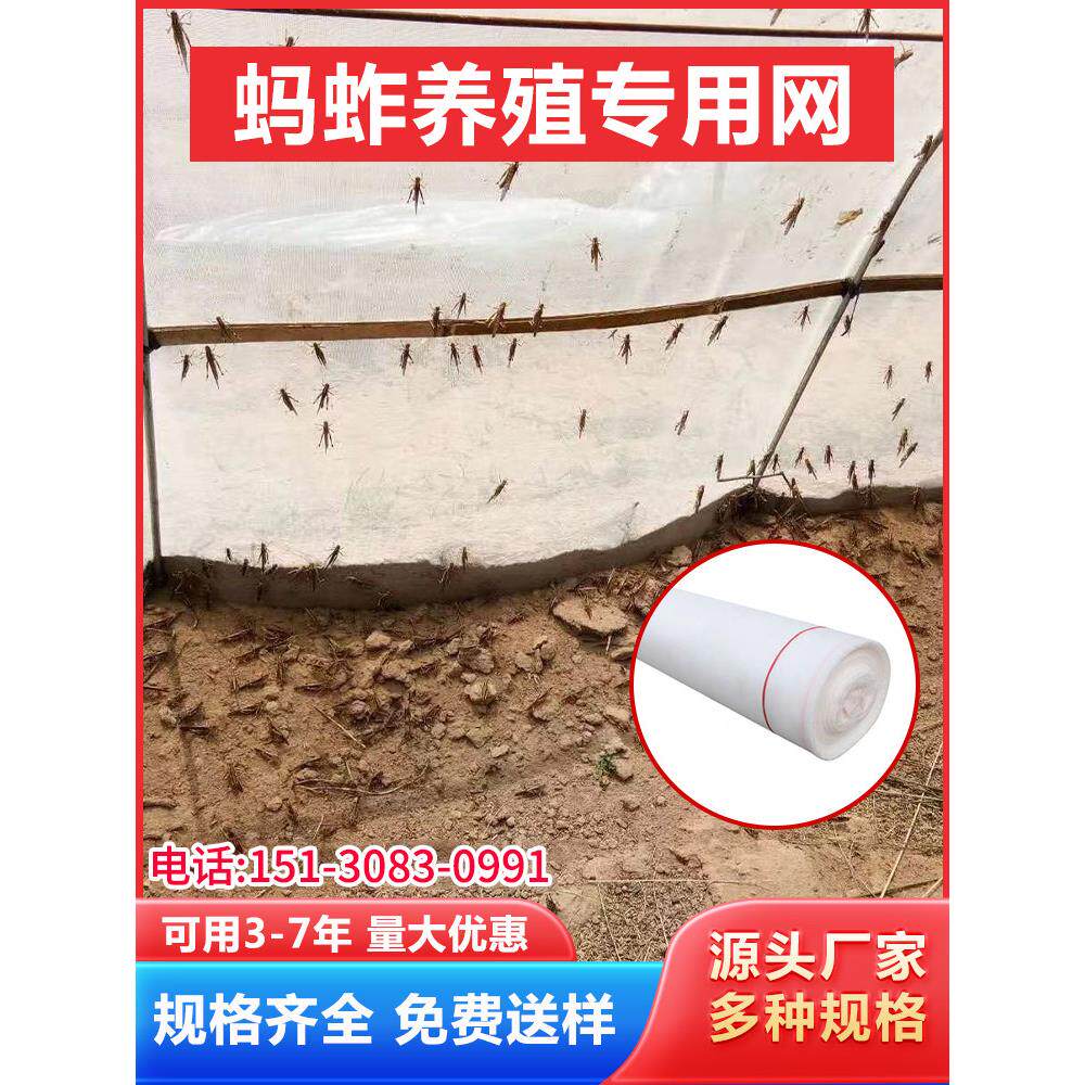 养殖蚂蚱专用网胡蜂纱网片特厚超厚蝗虫马蜂蜜针防虫网罩拱形大棚