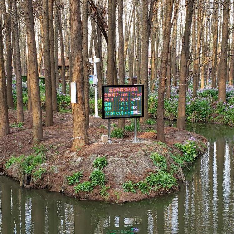 景区空气负氧离子在线监测系统