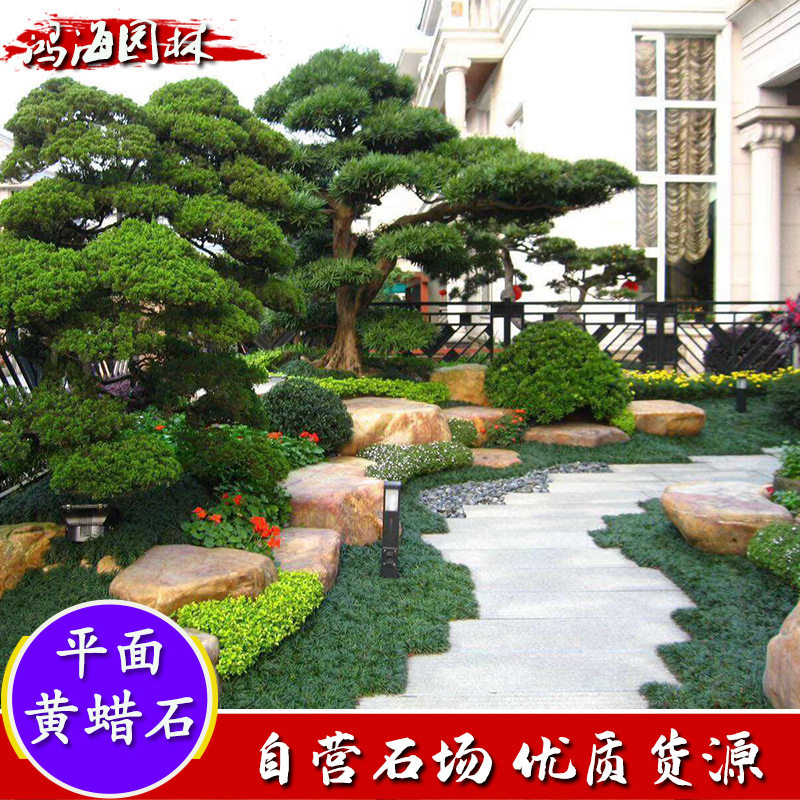 厂家直销园林景观石自然黄蜡石草坪点缀石头平面踏步石黄腊石黄石