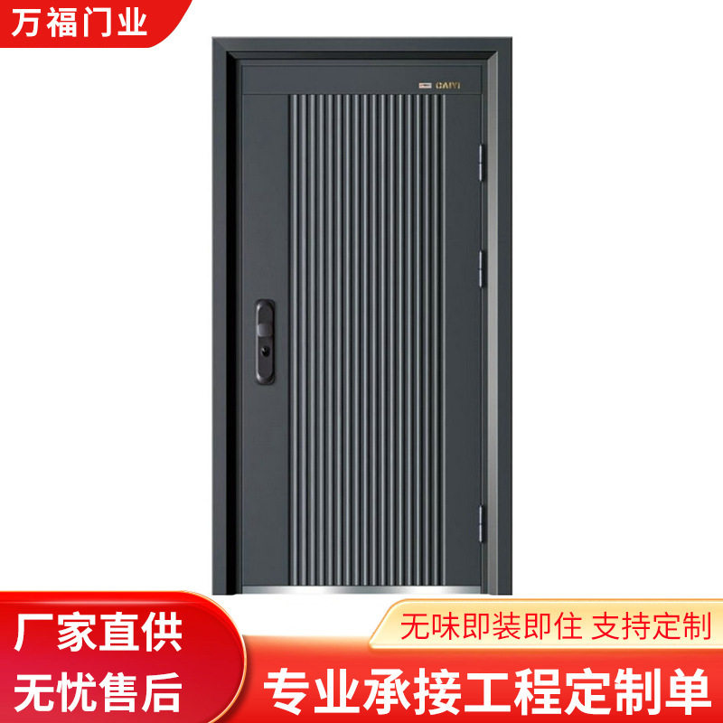 钢制房门入户防盗安全门防火阻燃门子母门非标金属大门非铝合金门
