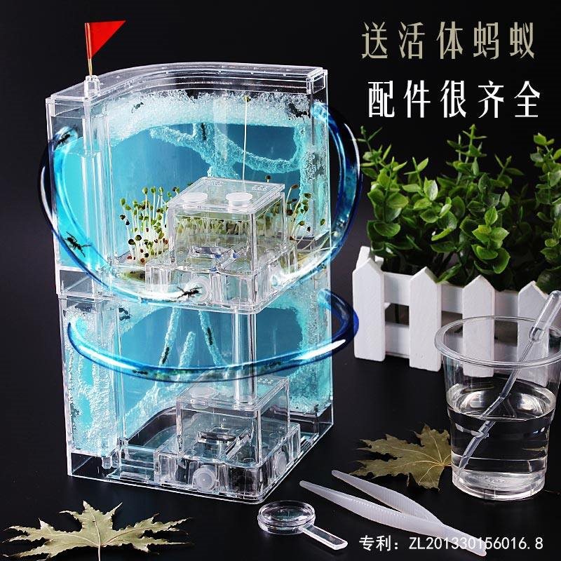 双层蚂蚁工坊蚁巢送蚁后儿童礼品