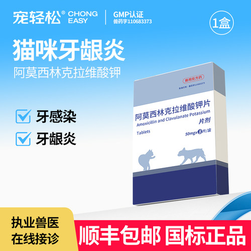 宠物猫狗牙龈炎牙感染