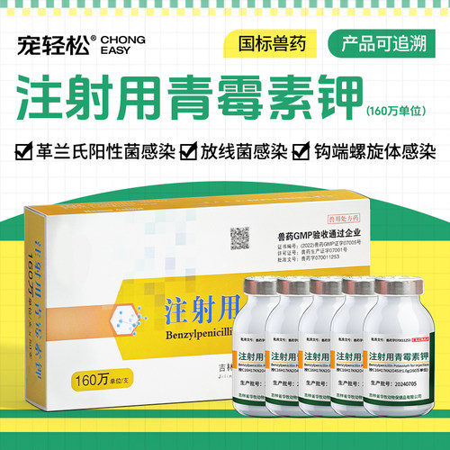 注射用青霉素钾猪牛羊马驹犊禽