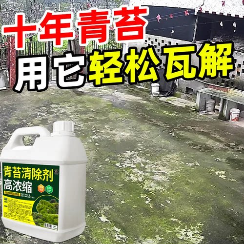 青苔清除剂水泥地面除青苔去除剂墙面房屋苔藓藻类强力溶解青苔净