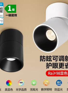 全光谱明装防眩折叠射灯可调角度圆形小山丘家用客厅洗墙无主智能