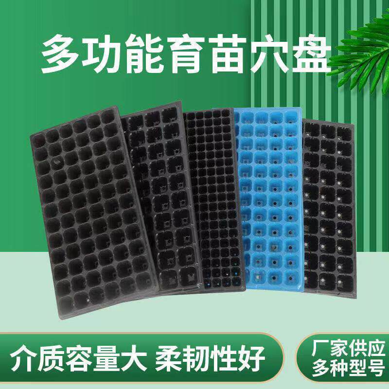 穴盘加厚育苗盆苗木多肉育苗箱林木穴盘黑色蔬菜苗盘营养钵育苗杯