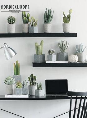 斯堪的纳维亚创意多肉仙人掌模拟植物盆栽饰品假绿色植物室内家庭