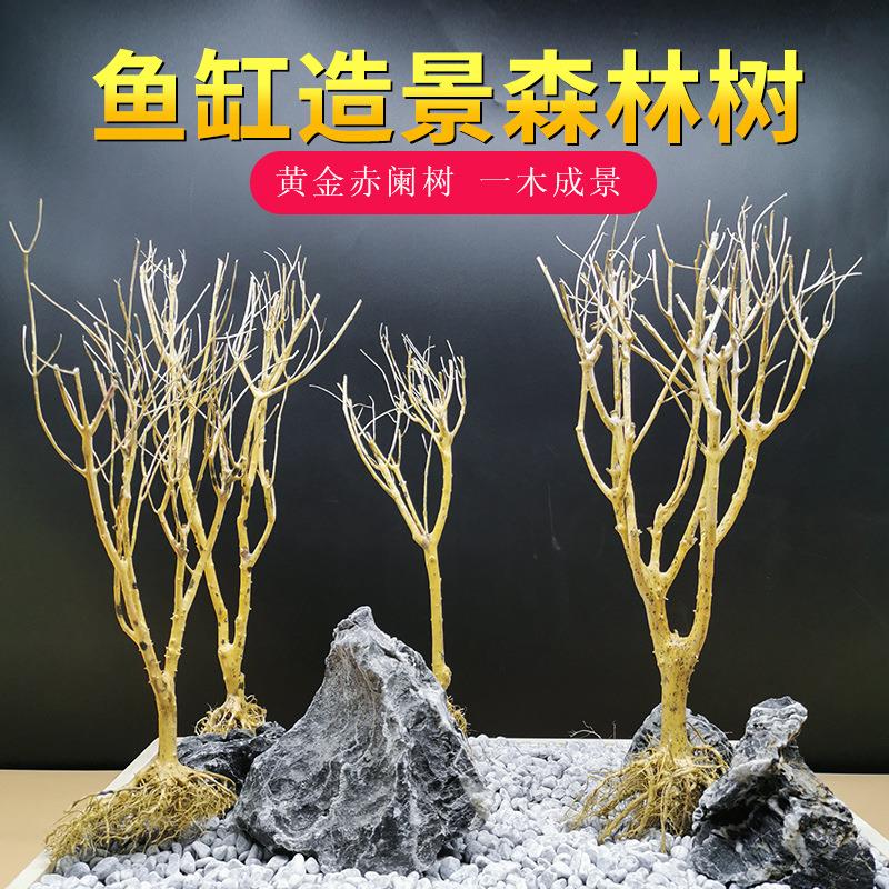 水草生态水族箱鱼缸造景装饰材料莫斯树林景观干枝枯木水族小树枝