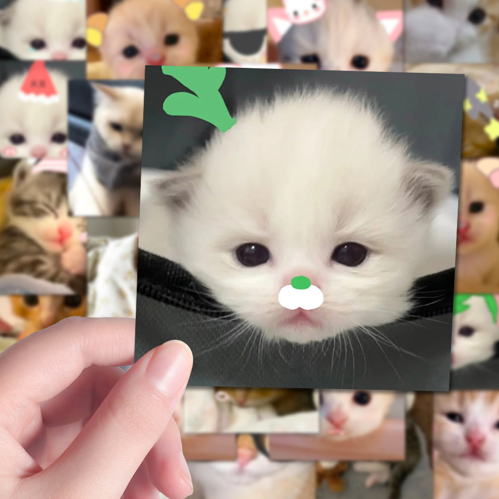 108张可爱猫猫表情包贴纸抽象卡通可爱趣味搞笑手机装饰防水贴画