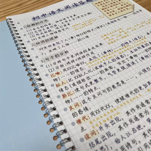 初中语文阅读理解答题模板练习本语文中考阅读技巧方法训练课业本