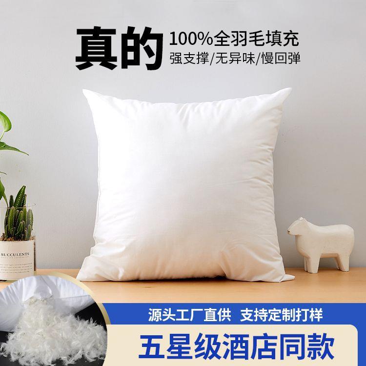 抱枕芯床头腰靠羽绒抱枕内胆沙发靠垫靠枕定制腰垫靠背cushion