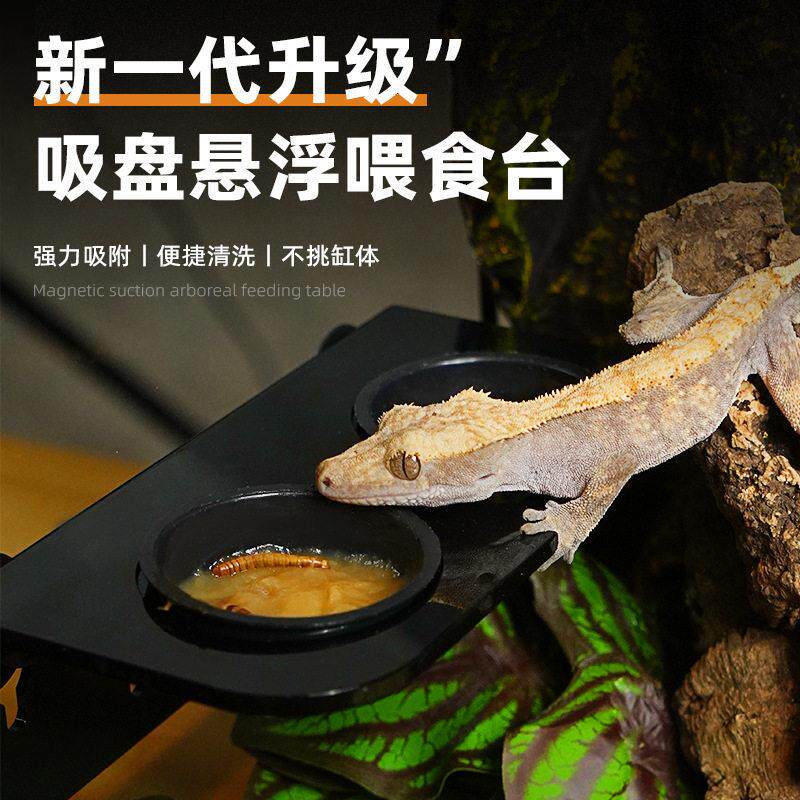 BG睫角守宫巨人R属悬挂式可移动树栖爬宠食盆食碗吸盘挂果泥食盆