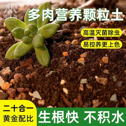 壕沐森 多肉土营养颗粒土低端专用营养种植土园艺盆栽