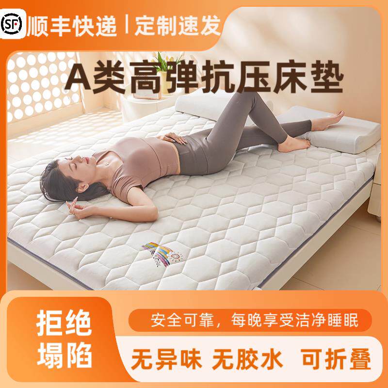 可定制床垫软垫家用卧室榻榻米床软垫子宿舍学生租房专用火炕褥垫