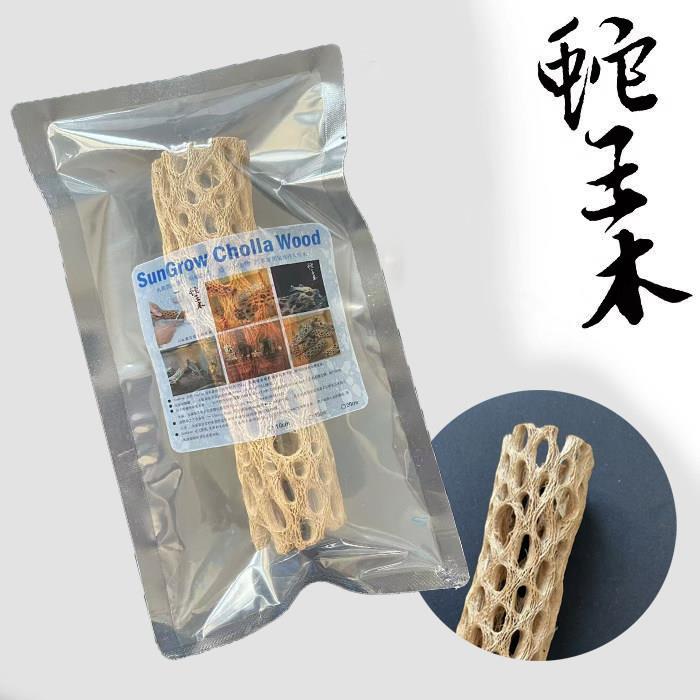 蛇王木仙人掌水晶虾苏虾异形寄居蟹空凤植物蜂窝木沉木造景装饰