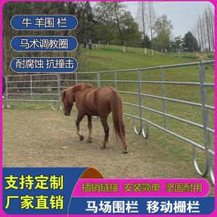 马场围栏马术场地可移动式牧场护栏圈牛羊畜牧栅栏马匹调训隔离栏