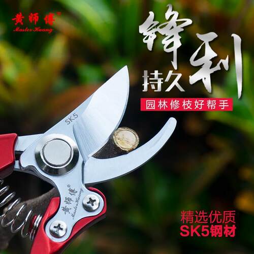 强力剪树枝专用剪子家用修剪果树修枝剪刀粗枝剪花枝园艺剪工具