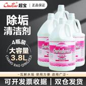 超宝除垢清洁剂强力除水垢剂洗碗机发热管抽水泵商用整箱装 DFH005