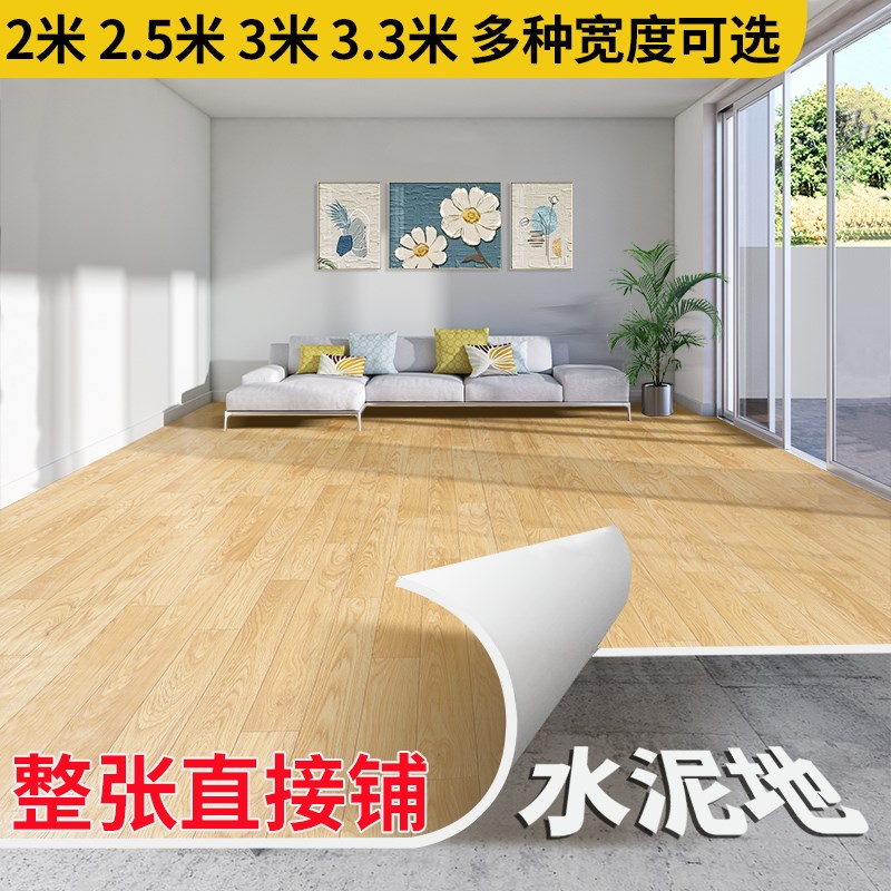 地毯卧室水泥地直接铺地板铺垫家用客厅pvc可擦洗地垫大面积全铺