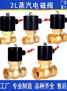 2L蒸汽电磁阀气阀 高温200度高压16KG 4分6分1寸1.2寸AC220VDC24V