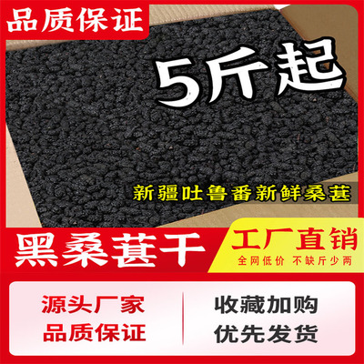 【正品保证】桑葚干5斤10装新疆桑果非免洗野整箱泡水酒生黑桑椹