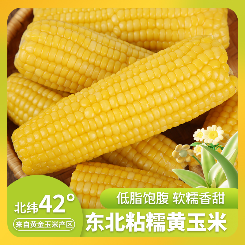东北黄糯玉米新鲜甜黄玉米即食真空装黏苞米粘玉米2024新玉米代餐