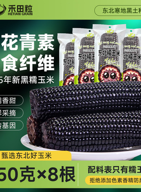 2025新货东北黑糯玉米10支大棒真空低脂黄糯玉米非即食新鲜代早餐