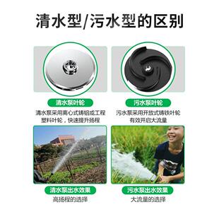 潜水泵220V污水泵家用抽水泵小型清水泵高扬程农用排污灌溉抽水机
