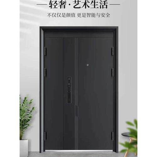 甲级防盗门家用锌合金大门子母门单开门现代轻奢智能隔音入户门