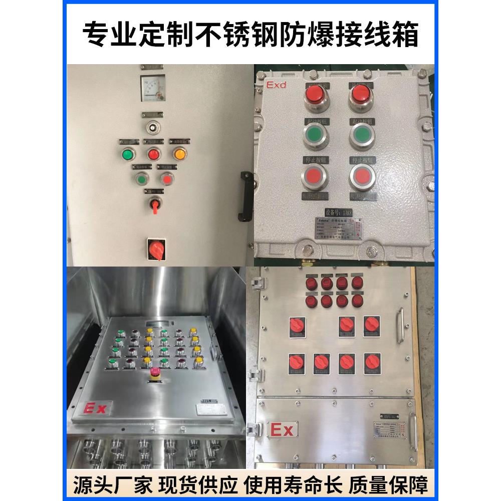 防爆配电箱控制箱 照明动力箱 专业定制防爆配电接线箱开关仪表柜