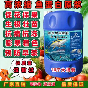 海藻鱼蛋白水溶肥进口氨基酸叶面肥料柑橘蔬菜果树草莓冲施有机肥