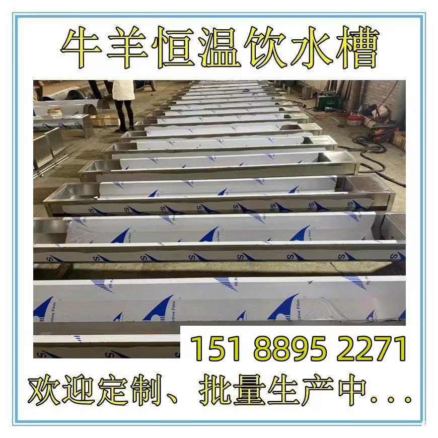 不锈钢牛羊恒温饮水槽自动电加热防冻养牛场冬天专用畜牧养殖设备