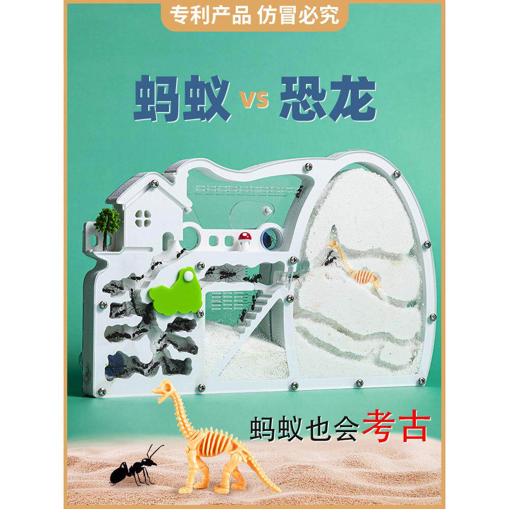 恐龙观察蚂蚁盒子屋宠物工坊城堡生态箱沙巢家园繁殖版活体送蚁后