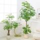 北欧彷真绿色植物香椿树高级感客厅假植物装 饰大型彷生假树落地摆