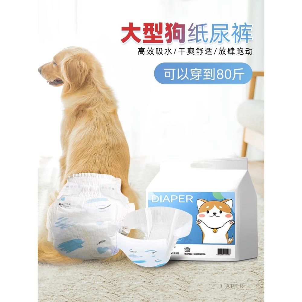 金毛母狗专用生理裤萨摩耶