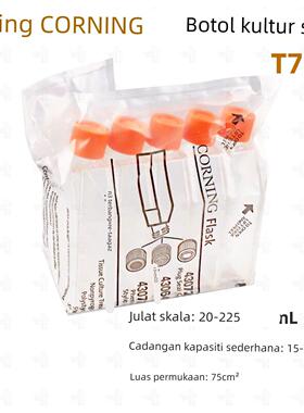 康宁430639 430641 431080 430168 430720细胞培养瓶T25 T75T175