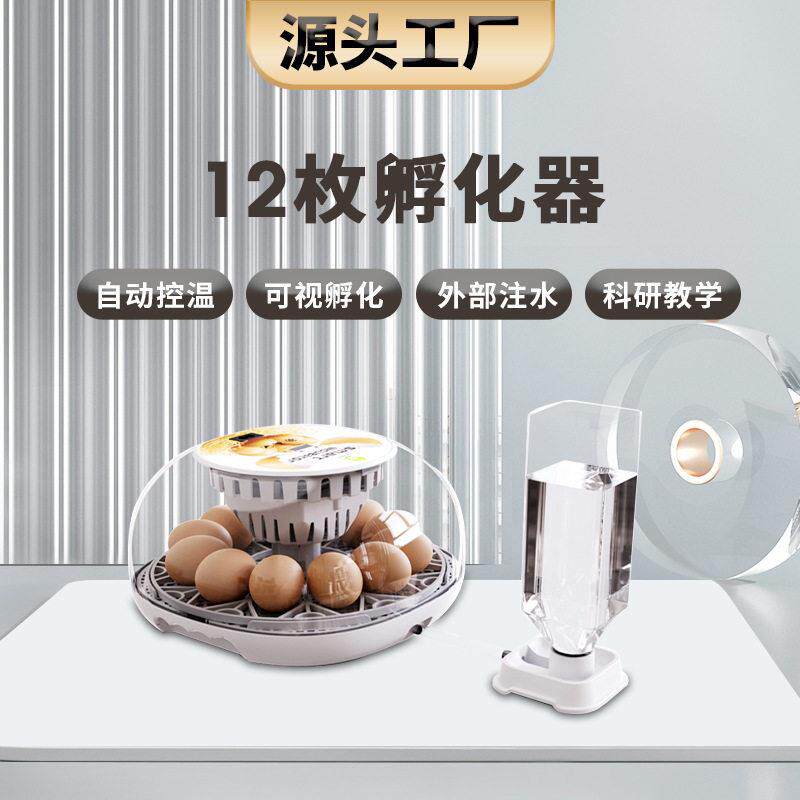 工厂直供12枚鸭鹅鸟类观察鸡蛋孵化器家用科教型孵化机自动翻蛋