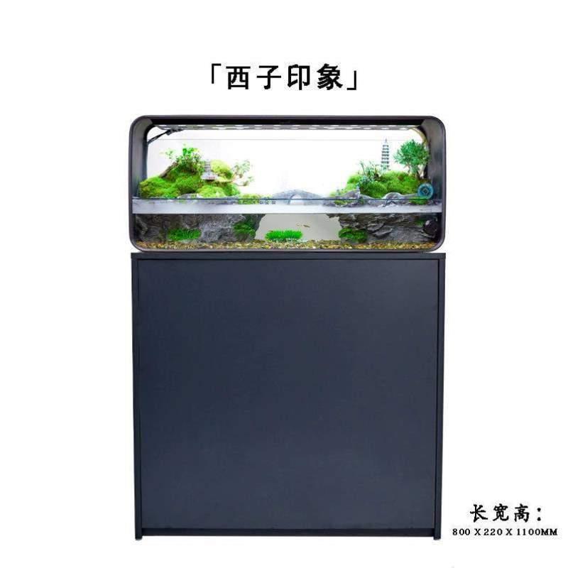 玻璃生态缸智能植物家用鱼缸微缸鱼缸水陆森林景观植有品雨林造景