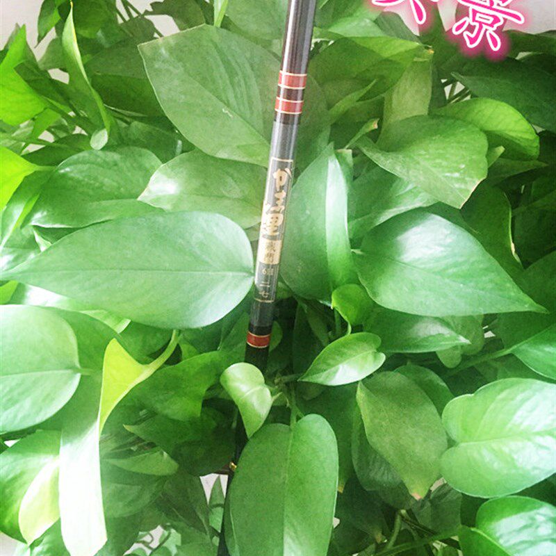 热销罗非竿战斗杆超硬7H19调黑坑竿2.7米大棚竿战斗竿1.8米3米罗