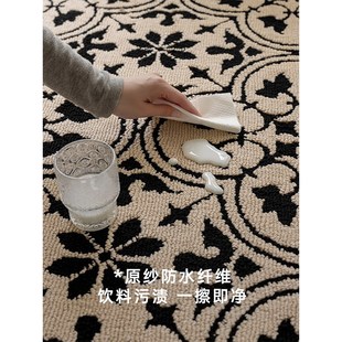 可擦免洗客厅地毯2024新款 法式 轻奢高级感防水防污免打理卧室地垫